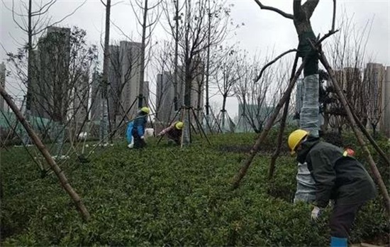 非凡国际(中国区)-官方网站